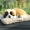 Saint Bernard - Plush Mats ⭐⭐⭐ Containing 200 grams of nano mineral crystals