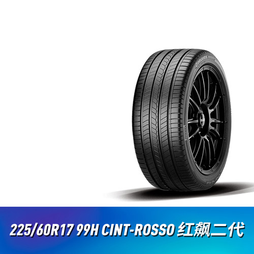 225/60R1799HCINT-ROSS0