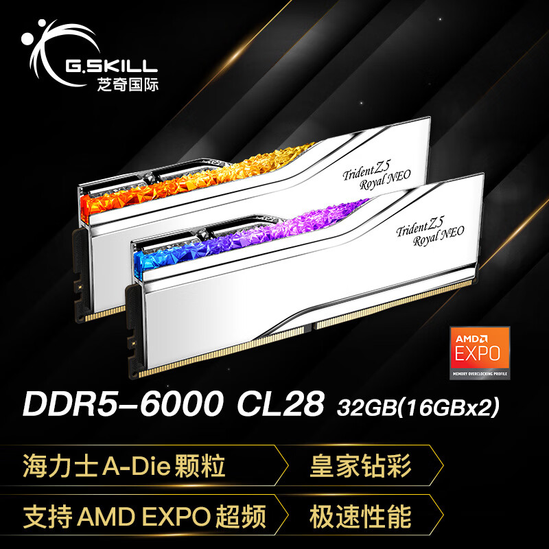 G.SKILL芝奇DDR5 6000频率台式机内存条皇家戟EXPO版RGB灯条-银色