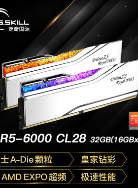 G.SKILL芝奇DDR5 6000频率台式机内存条皇家戟EXPO版RGB灯条-银色