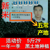 农家自产 新黑米 东北大米 五谷杂粮 黑粥米 五常黑香米
