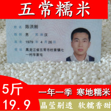 黏大米 农家江米 包粽子米 东北五常糯米 新米