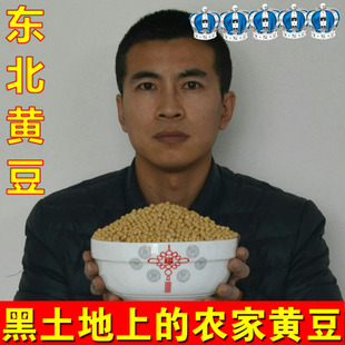 东北黄豆 五谷杂粮粗粮豆浆黑豆腊八粥搭绿豆红豆豆芽