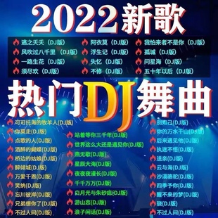 车载U盘 各大类型经典音乐DJ音乐 两千首好歌百听不厌