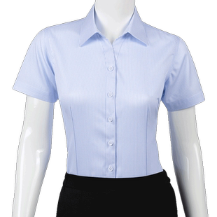 HN纯棉免烫浅蓝色细条纹女士衬衫短袖工作服职业正装蓝白上衣衬衣