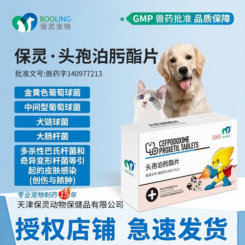 保灵沃贝舒头孢泊肟酯片