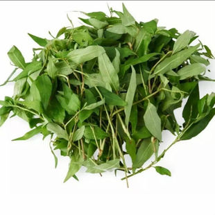 广西香菜鱼生草香柳苗香蓼辣蓼云南香料越南香料叻沙叶鱼生料包邮