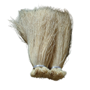 灯芯草长灯草灯草元宝当周新货产地直发江西荣山特产灯心草批发