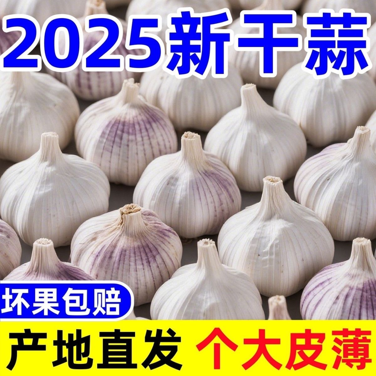 开封25年新干大蒜头可种3/5斤