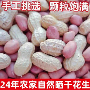 2024年生花生带壳晒干生花生原味粉皮干花生种子级3斤5斤可做种子
