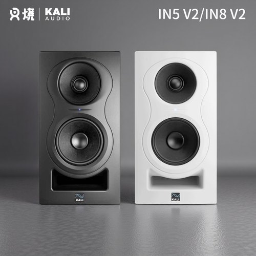 Kali同轴三分频监听音箱赠声卡