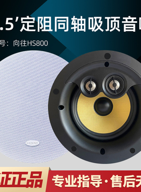 HOPE/向往HS800家用同轴定阻吸顶音箱背景音乐音响家庭影院级喇叭