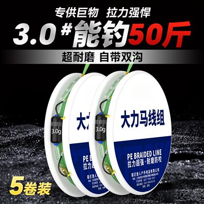 绑好成品大力马主线线组钓鱼线大马力全套大物鲢鳙巨物套装鱼钩