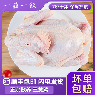 冷冻三黄鸡农家散养走地鸡整只新鲜活杀白斩鸡童子鸡土鸡顺丰包邮