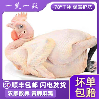 新鲜冷冻黑脚麻鸡特色农家散养青椒跑山走地鸡土公鸡整只顺丰包邮