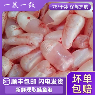 新鲜鱼肚鲢鱼泡活杀白花鲢鱼鳔花胶鱼胶冷冻生鲜食材商用顺丰包邮