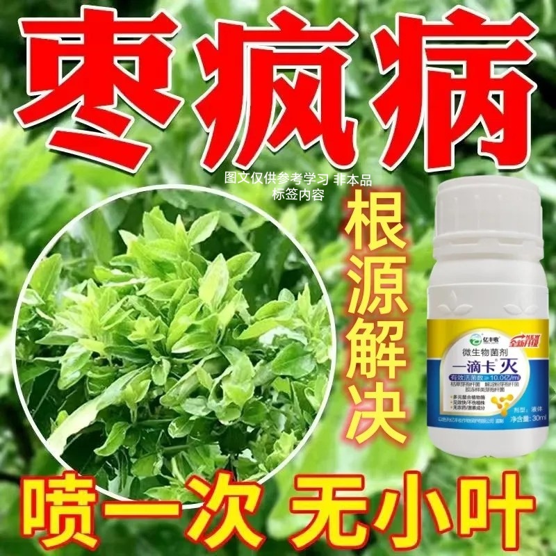 枣疯病专用药枣树病全治小叶卷叶丛枝克星保花果防缩果农药杀菌剂 农用物资 叶面肥 原图主图