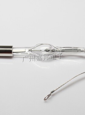 桐庐瑞克斯 RXG-1 RXG-I 医用内窥镜氙灯冷光源 氙灯 灯泡450VA