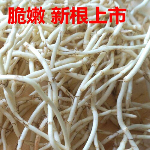 新鲜蔬菜当阳特产鱼腥草
