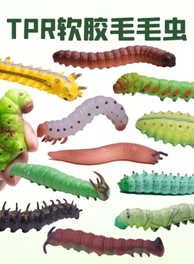 TPR硅胶仿真毛毛虫模型玩具昆虫小虫子儿童早教认知爬行动物模型