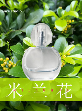 偶遇私家米兰花香水清新淡雅