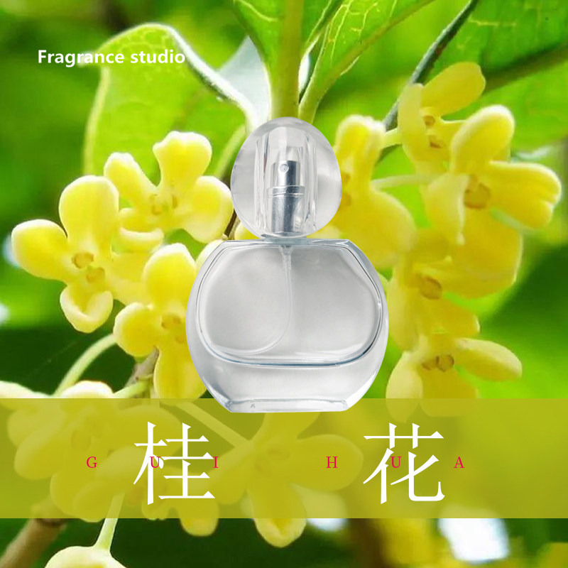 清新淡雅自然桂花偶遇私家