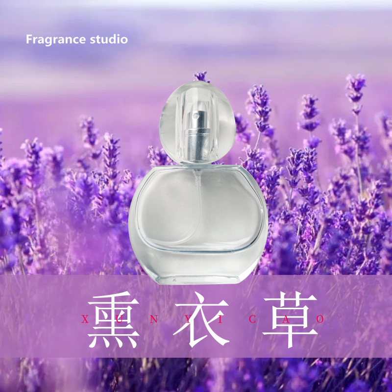 偶遇私家薰衣草香味花香调香水