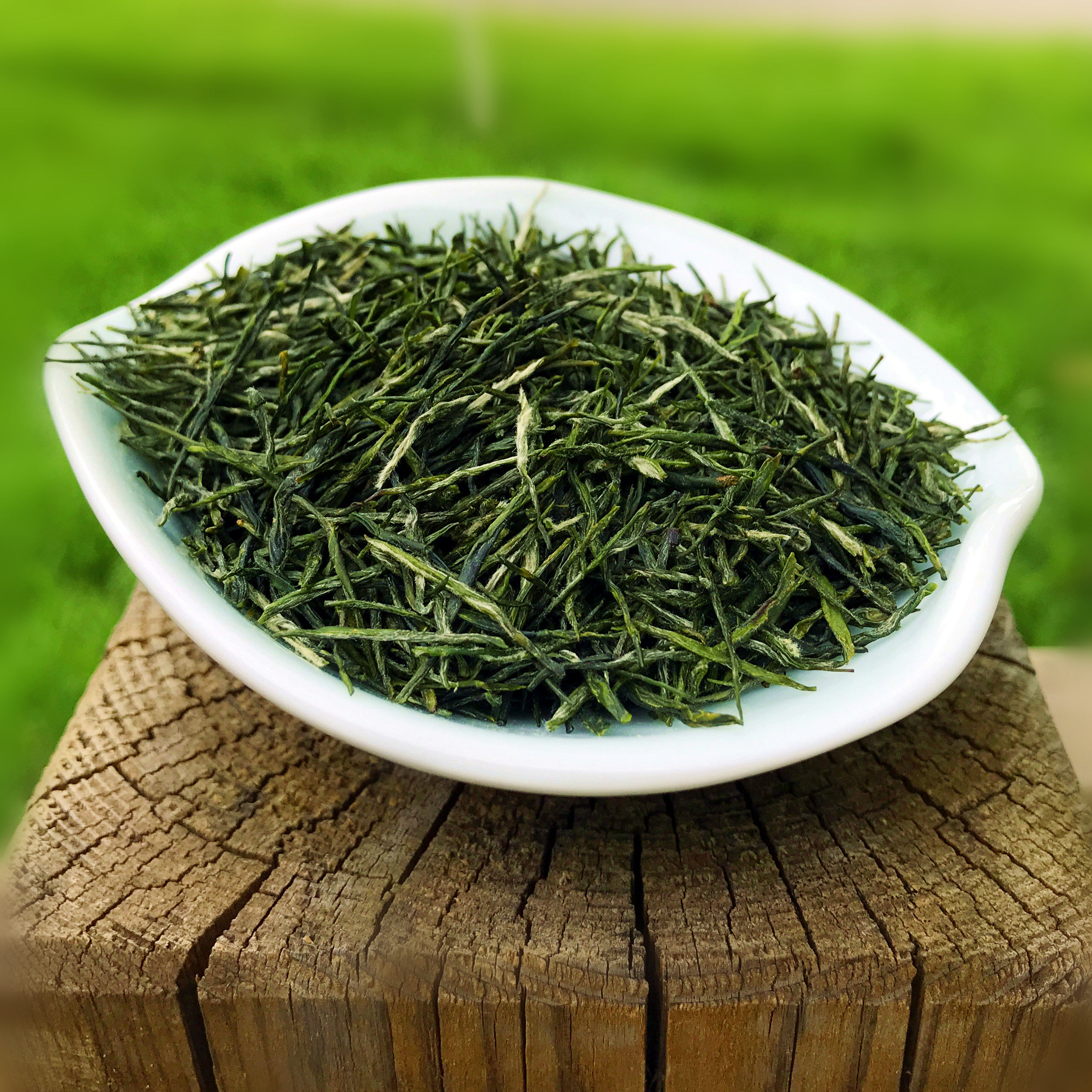 ë���Ҷ�����ز�ë��2025�²�Ҷ��ɽ�̲�ɢװ���賴��Ũ����500g