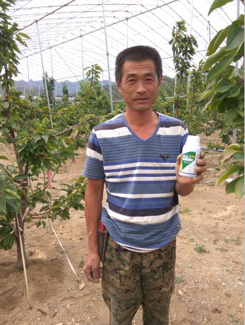 【博士猫大樱桃桃树月季欧李根瘤菌根瘤病根癌病新型杀菌剂非k84