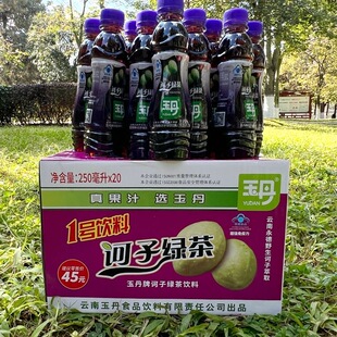 云南特产永德柯子汁玉丹芒果汁酸角汁诃子汁整箱新鲜果汁饮料饮品