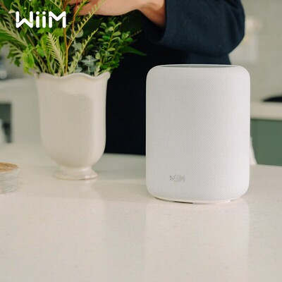 WIIMSoundLiteWIFI蓝牙音箱