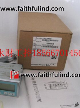 议价E+H RIA251-A1 恩德斯豪斯过程显示仪 RIA251￥