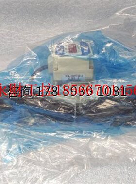 议价Saginomia karuman ACE 流量计 SLK-1033TXQ13 2-20 L/min ￥