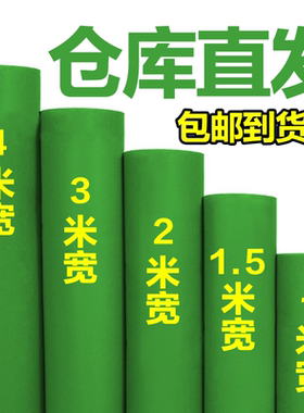 人仁绿色地毯一次性加厚舞台商用幼儿园开业店铺门口背景墙活动用