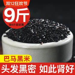 新米广西巴马黑米农家自种长寿米黑大米比东兰墨米五谷杂粮散装