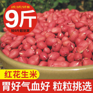 25年新货广西农家自产的花生米小粒生的自种不带壳红皮花生米散装