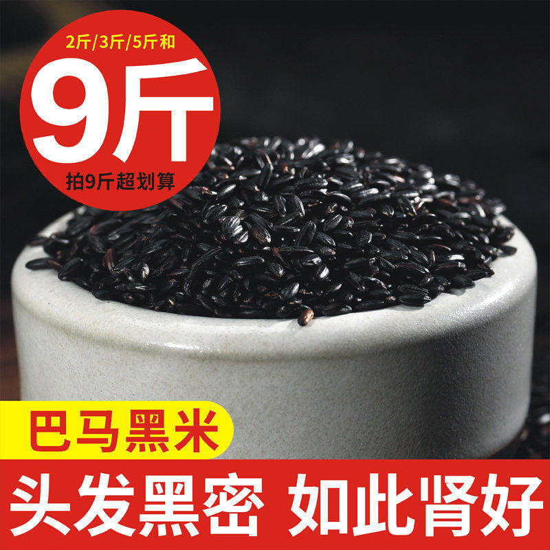 新米广西巴马黑米农家自种长寿米黑大米比东兰墨米五谷杂粮散装