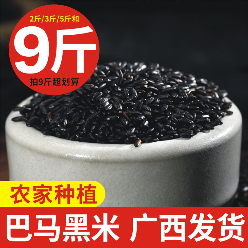 新米广西巴马黑米农家自种长寿米黑大米比东兰墨米五谷杂粮散装