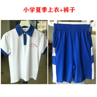 湖南师大附中星城实验小学第一小学第二小学夏季校服短袖短裤舒适