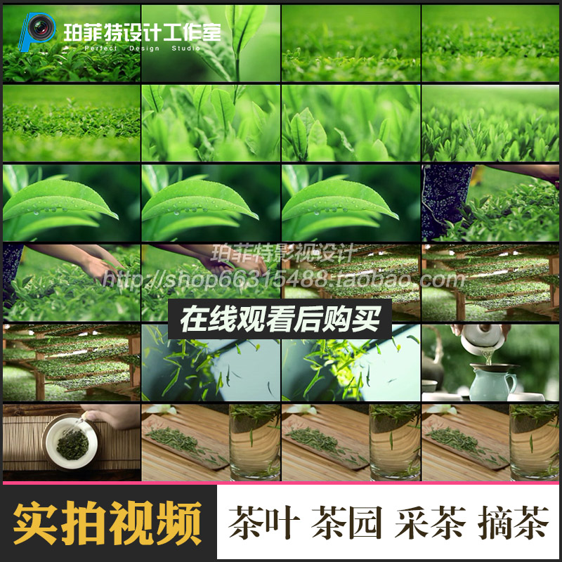 茶叶茶园采茶摘茶茶艺泡茶茶文化高清实拍视频素材