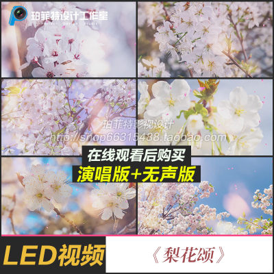 梨花颂 歌曲MV 爱国  七一晚会LED节目视频素材