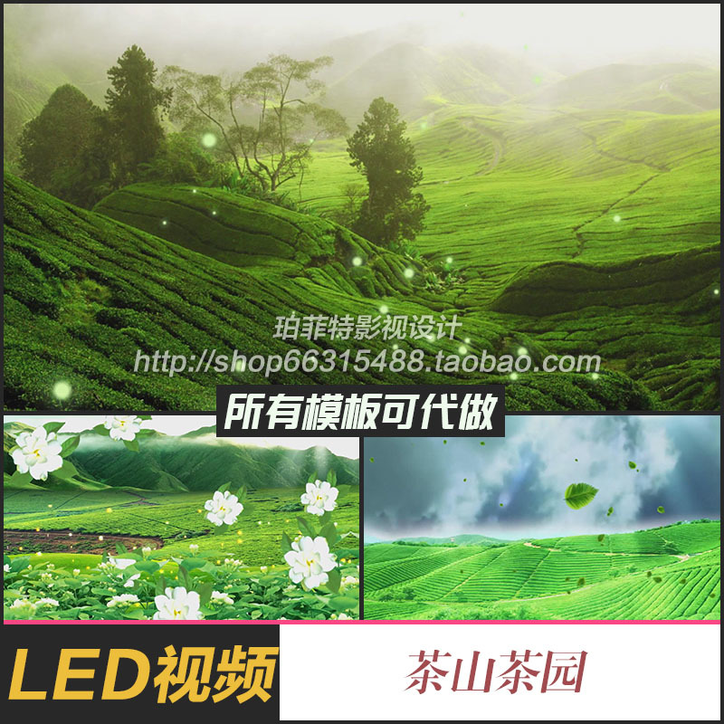 茶山茶园情歌茶山唯美小清新开学LED民族歌舞山歌背景视频素材-封面