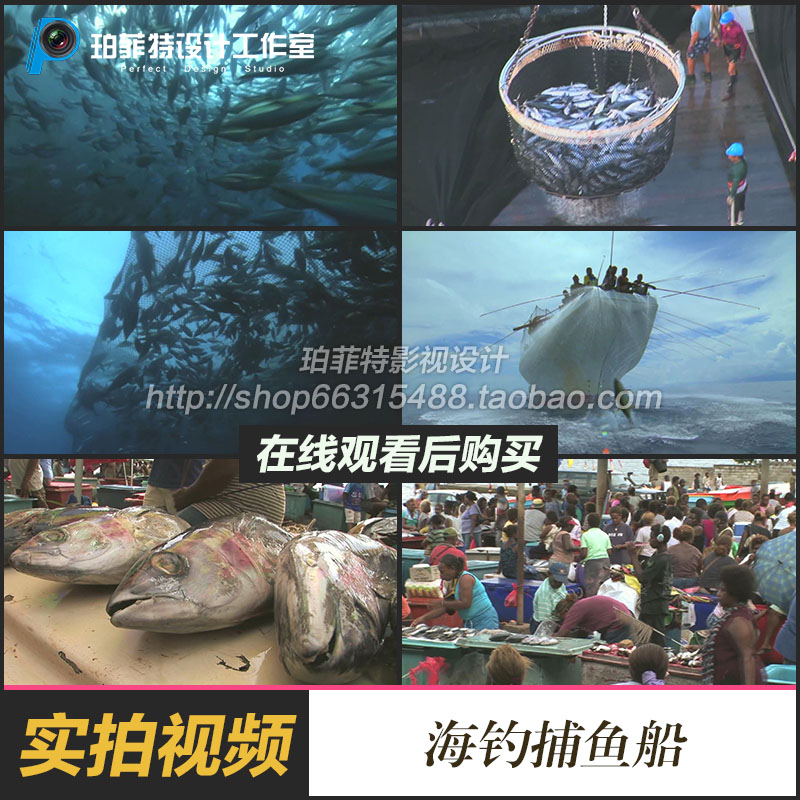海钓捕鱼船高清视频金枪鱼远洋捕捞渔业公司高清实拍视频素材