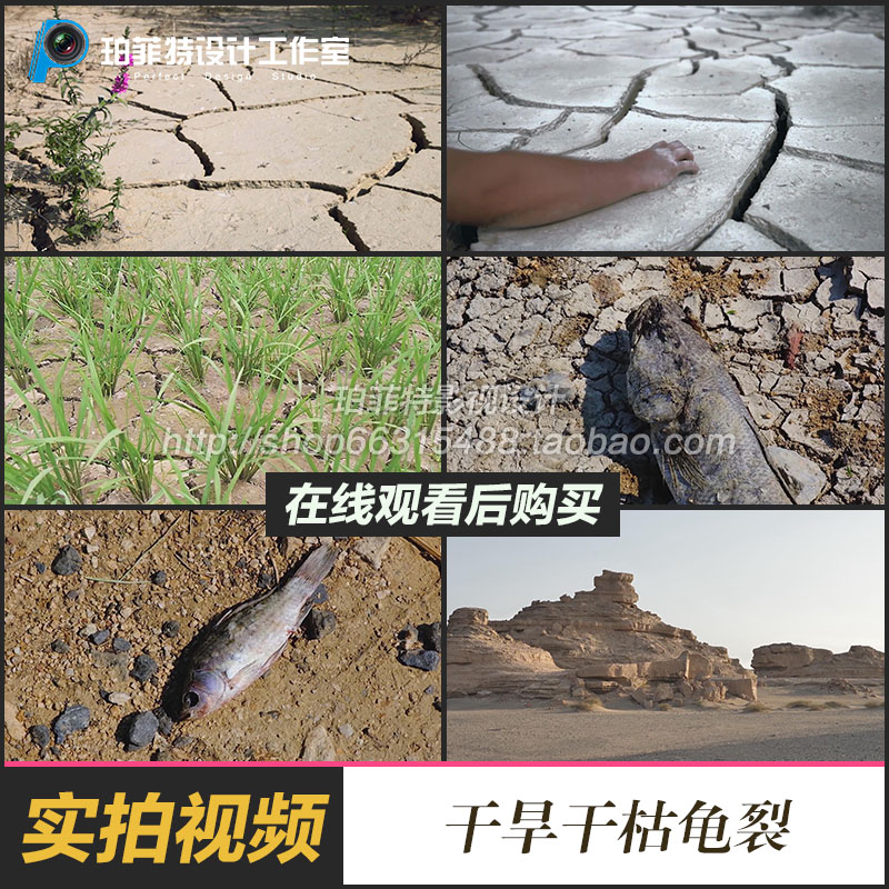 沙漠干旱干枯龟裂缺水枯萎大地干旱旱灾荒凉旱情视频素材 商务/设计服务 设计素材/源文件 原图主图