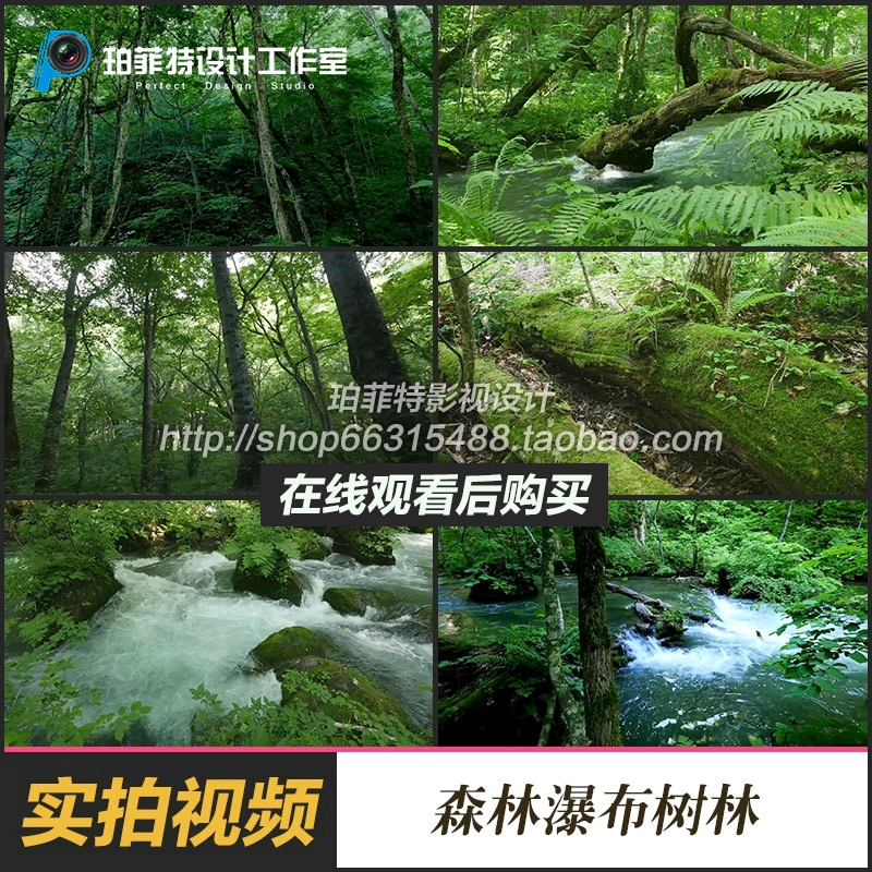 实拍视频素材绿色清新森林高清实拍自然风景山泉流水瀑布小溪