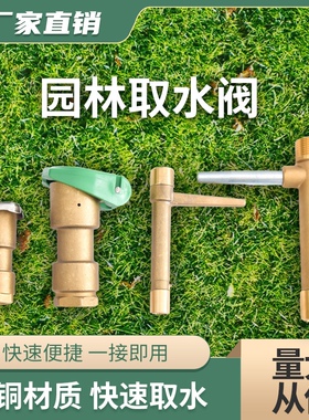 黄铜快速取水阀取水器 6分1寸园林绿化取水器 草坪铜洒水栓钥匙杆