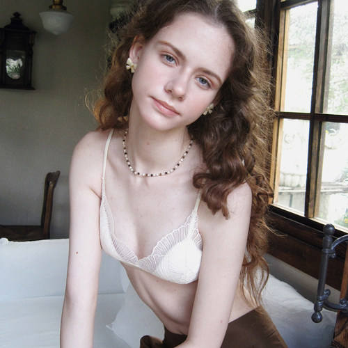 六楼法式内衣蕾丝V领超薄文胸小胸微光无钢圈花瓣刺绣真丝三角杯