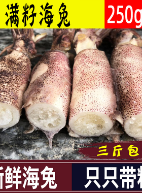 新鲜海兔子满籽鲜活海兔冷冻全籽籽乌贼带籽笔管鱼海鲜水产鱿鱼仔