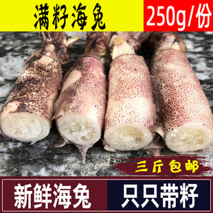 新鲜海兔子满籽鲜活海兔冷冻全籽籽乌贼带籽笔管鱼海鲜水产鱿鱼仔