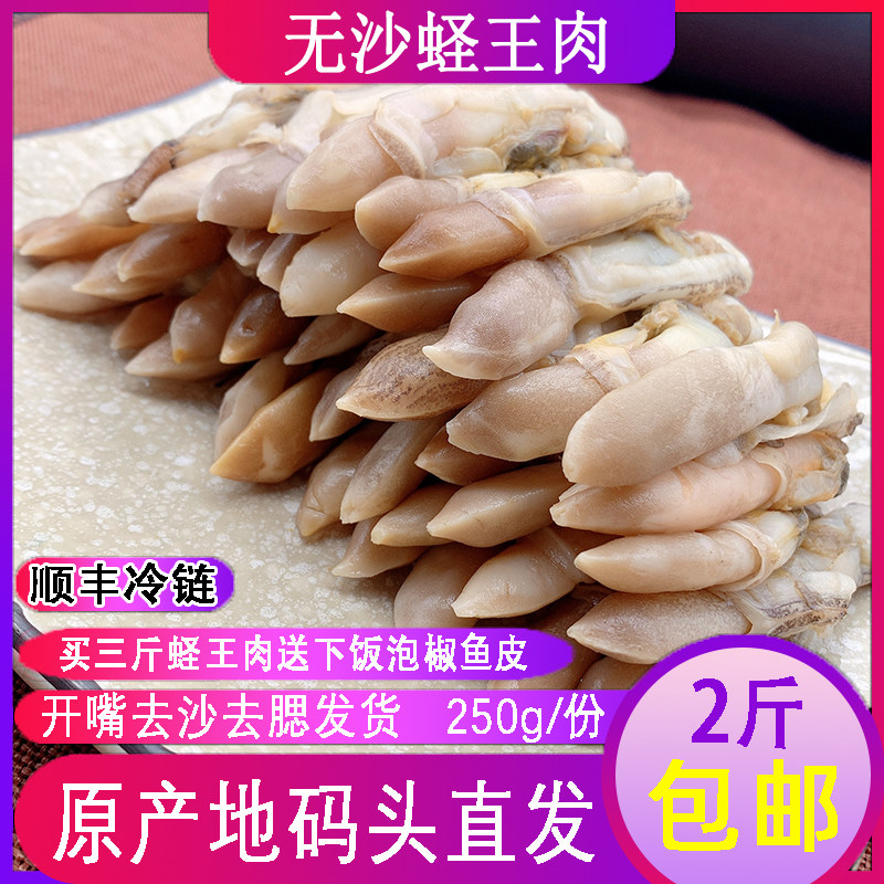 连云港蛏王肉大竹蛏子新鲜现剥冷冻竹蛏子竹节蛏海蛏子蛏子王250g